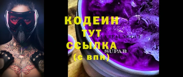 дмт Абаза
