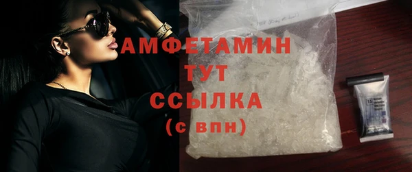 дмт Абаза