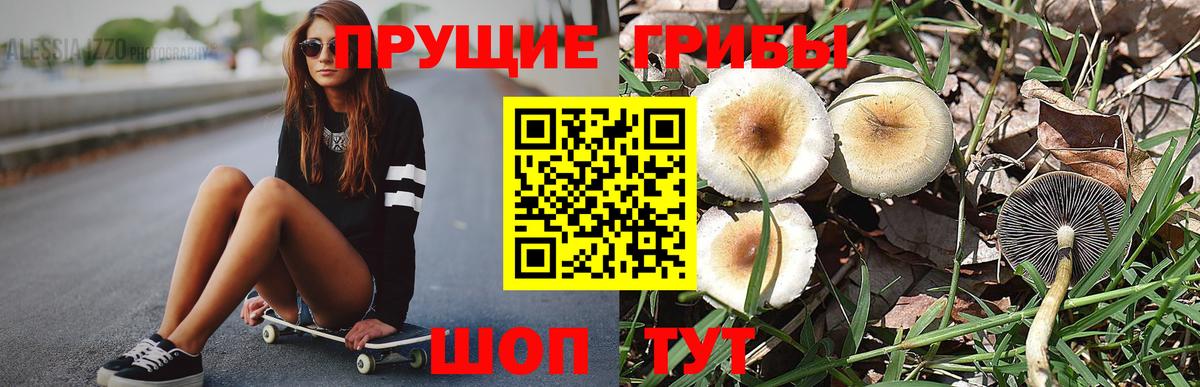 Псилоцибиновые грибы мицелий  Вход с VPN  Абинск 
